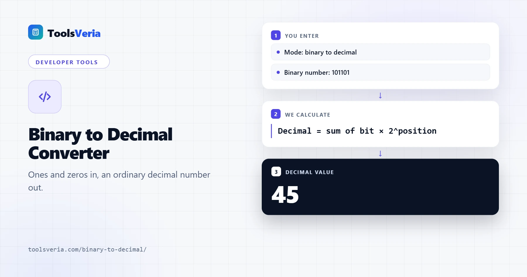 Binary to decimal converter showing 101101 converted to 45 with hex and octal values